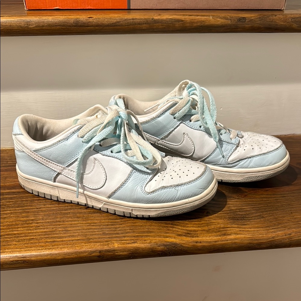 Nike Women’s Dunk Low Pro (9)